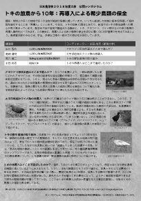 チラシダウンロード(PDF)